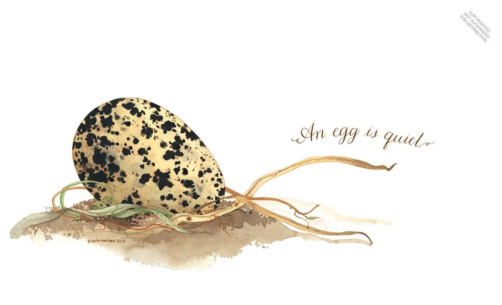 An Egg is Quiet