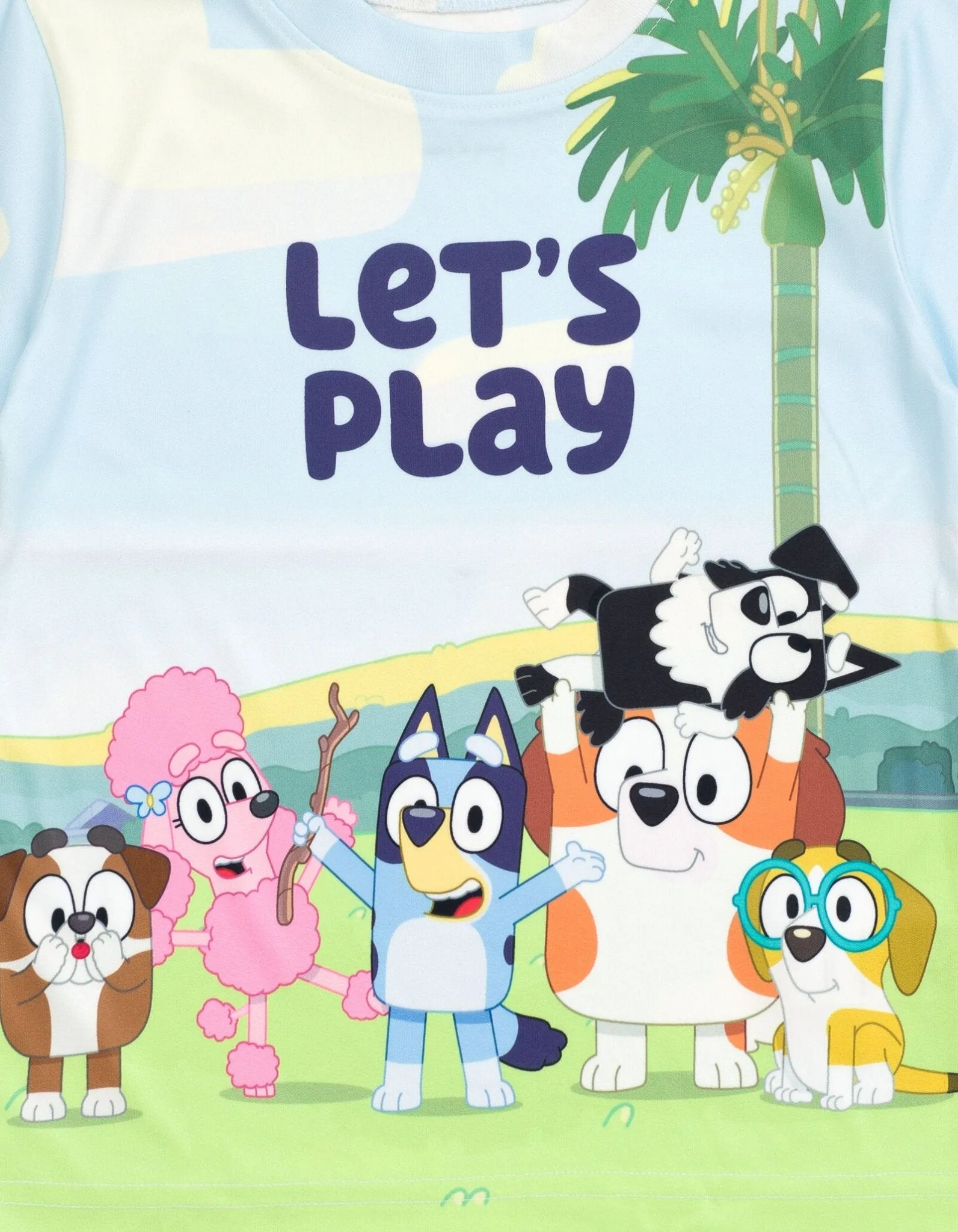 Bluey T-Shirt and Shorts Outfit Set