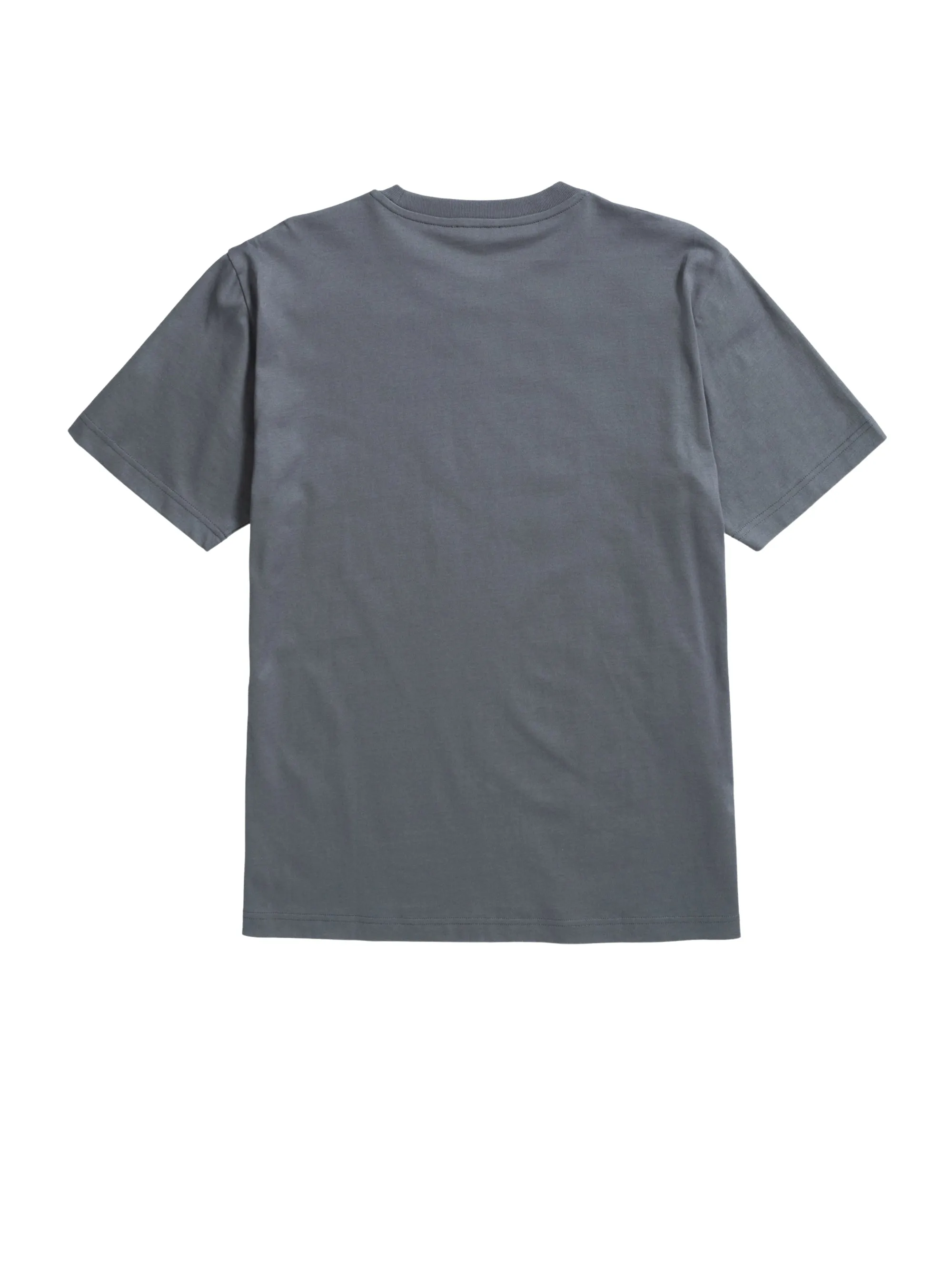 T-shirt con Stampa Serigrafata Grigio